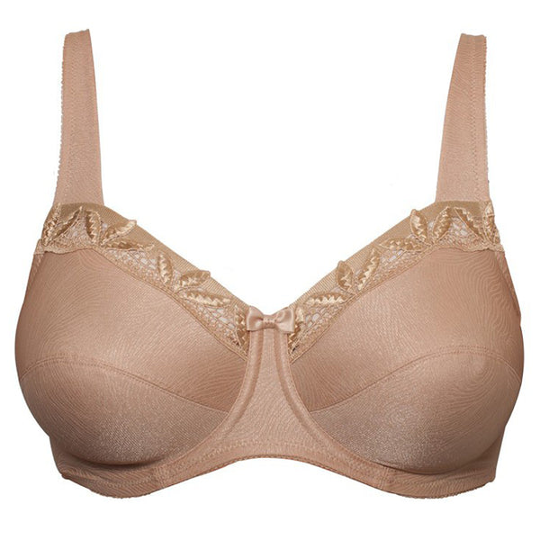 Epirus Triangle Plunge Bra